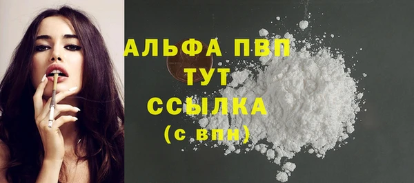 ешки Алексин