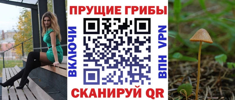 Псилоцибиновые грибы Psilocybe  Керчь 