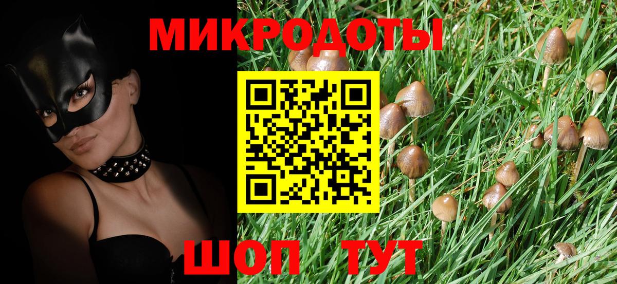 Псилоцибиновые грибы GOLDEN TEACHER  Галлюциногенные грибы Cubensis  Вход с VPN  Керчь 